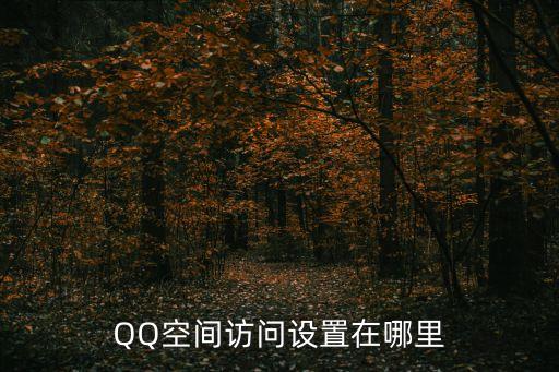 qq空間訪問，QQ空間訪問設置在哪里