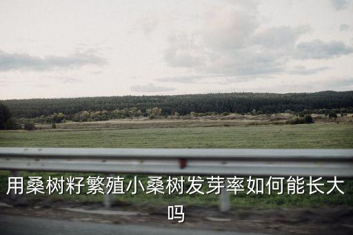 小桑樹，用桑樹籽繁殖小桑樹發芽率如何能長大嗎