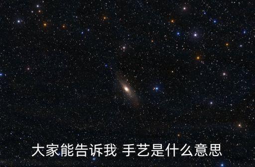 大家能告訴我 手藝是什么意思
