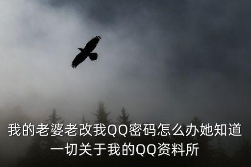 我的老婆老改我QQ密碼怎么辦她知道一切關于我的QQ資料所