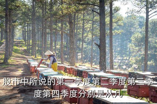 股市中所說的第一季度第二季度第三季度第四季度分別是從幾