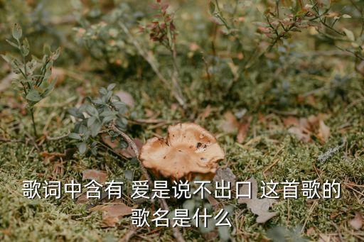 愛你說不出口，歌詞中含有 愛是說不出口 這首歌的歌名是什么