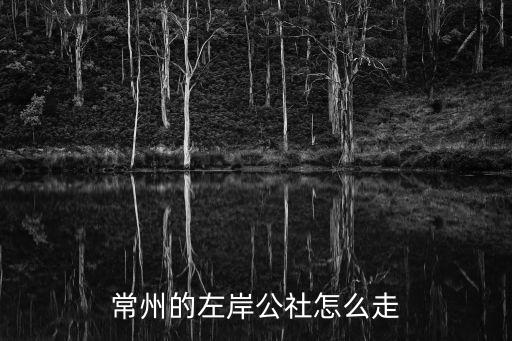 左岸公社，常州一院旁邊的左岸公社感覺怎么樣可以去玩么