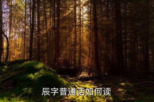 辰的讀音，辰字普通話如何讀