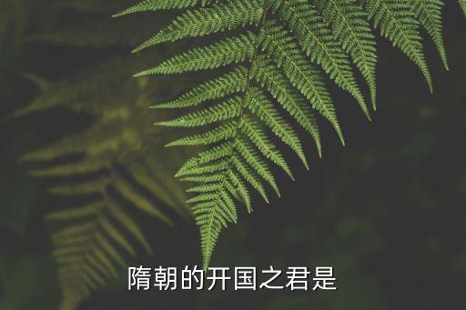 隋末新君，隋朝的開國之君是