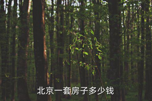 北京一套房子多少錢