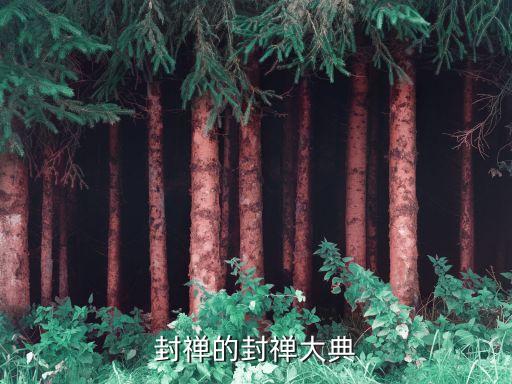 中華泰山封禪大典，泰山封禪大典在哪里中華泰山封禪大典怎么去