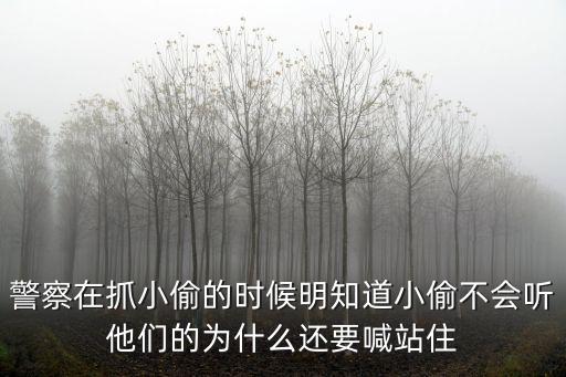 警察在抓小偷的時候明知道小偷不會聽他們的為什么還要喊站住