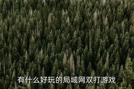 局域網游戲，有什么好玩的局域網雙打游戲