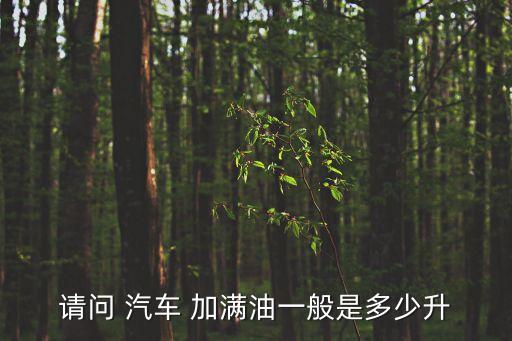 油箱一般多少升，請問 汽車 加滿油一般是多少升