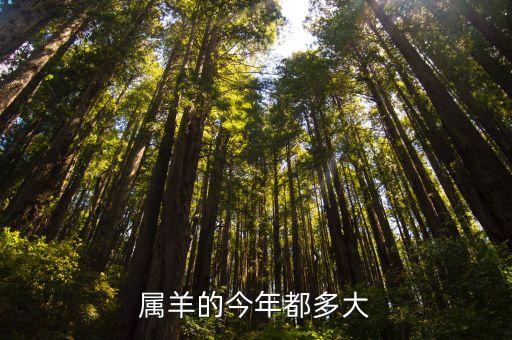 屬羊的今年都多大