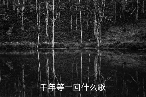 千年等一回歌詞，千年等一回這是什么歌