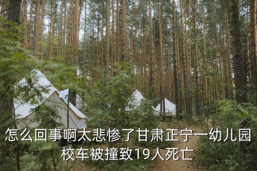 正寧校車事故，怎么回事啊太悲慘了甘肅正寧一幼兒園校車被撞致19人死亡