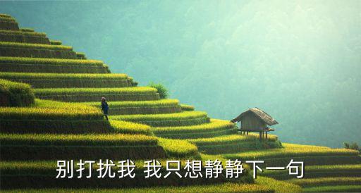 別鬧我想靜靜，別打擾我 我只想靜靜下一句