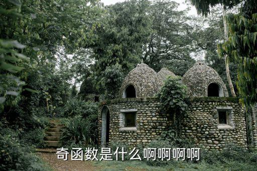 奇函數是什么啊啊啊啊