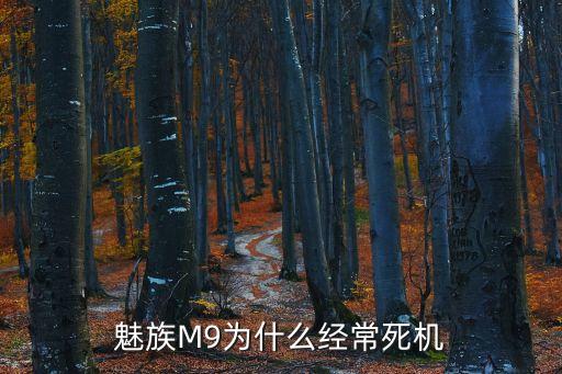 魅族M9為什么經(jīng)常死機(jī)
