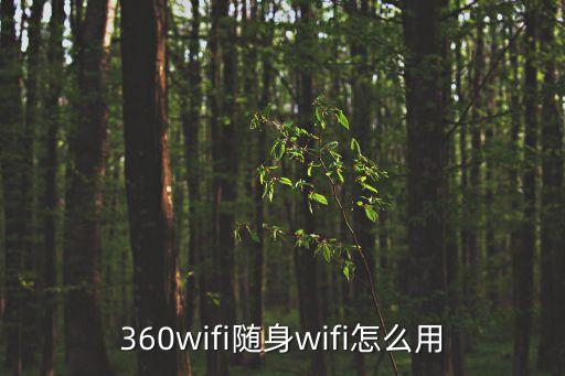 360wifi隨身wifi怎么用