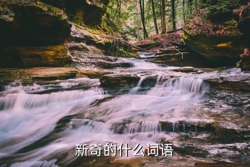 新奇是什么意思，新奇的什么詞語
