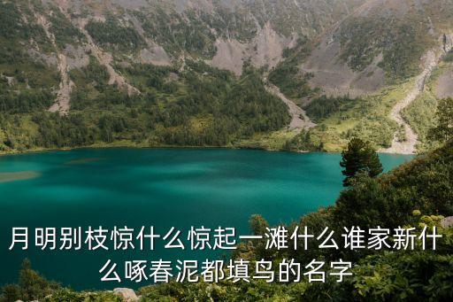 誰家新燕啄春泥，月明別枝驚什么驚起一灘什么誰家新什么啄春泥都填鳥的名字