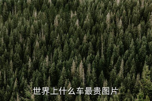 世界上什么車最貴圖片