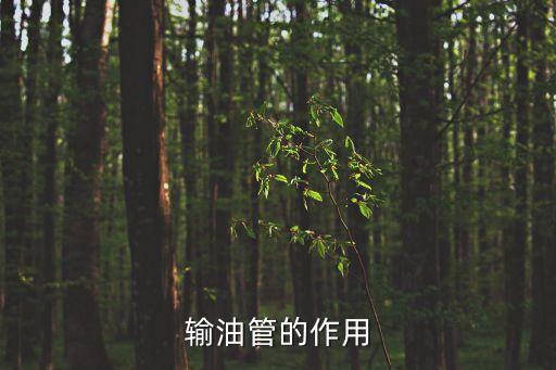 輸油管的作用