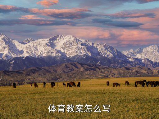 高中體育課教案，求高中籃球課教案