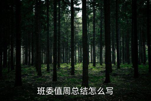 小學值周工作總結，班級值周小結怎么寫