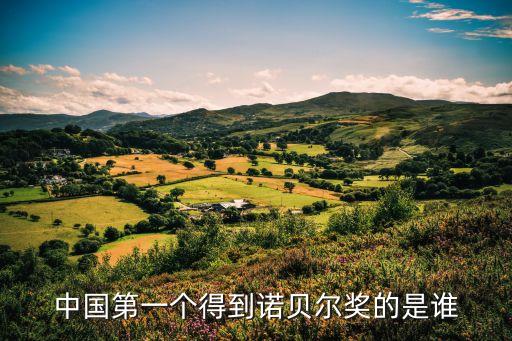 中國(guó)第一個(gè)得到諾貝爾獎(jiǎng)的是誰(shuí)