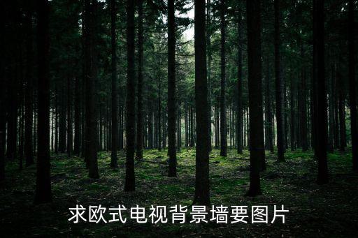 簡歐電視背景墻效果圖，北歐簡約風格電視背景墻怎樣裝修