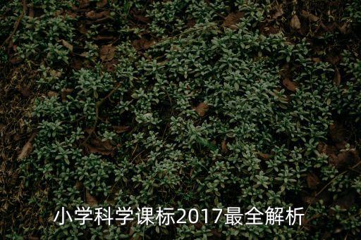 課標分析，課標分析中的識記理解應用層面一般怎么表達