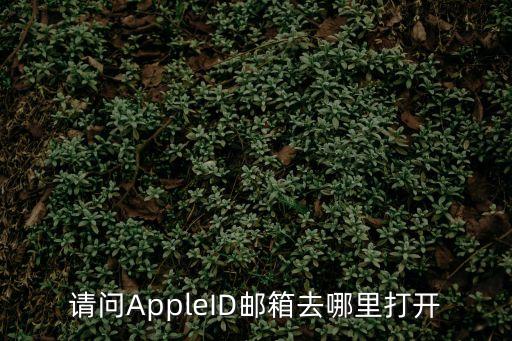 請問AppleID郵箱去哪里打開