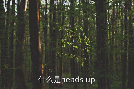 什么是heads up