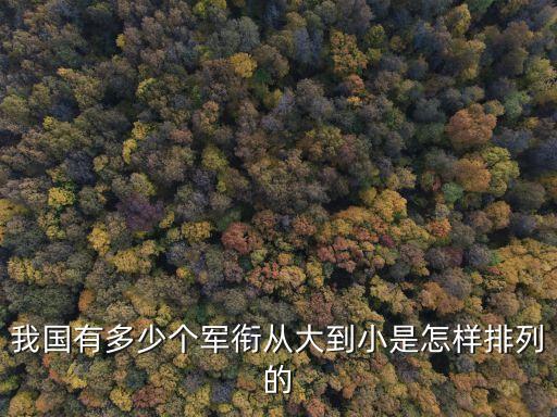 我國有多少個軍銜從大到小是怎樣排列的