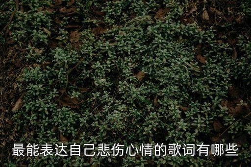 心情歌詞，最能表達自己悲傷心情的歌詞有哪些