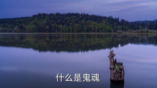 什么是鬼魂
