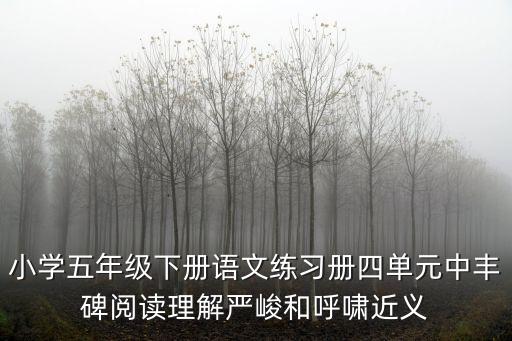 呼嘯的近義詞，小學五年級下冊語文練習冊四單元中豐碑閱讀理解嚴峻和呼嘯近義
