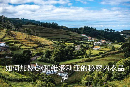 如何加盟CK和維多利亞的秘密內衣品牌