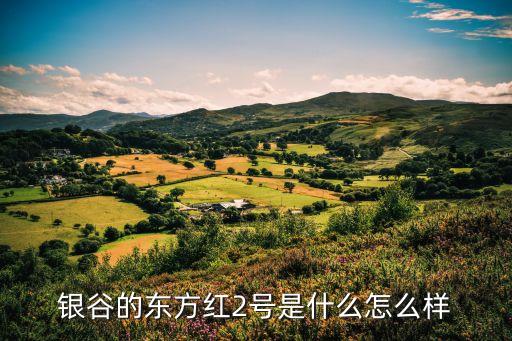 東方紅2號(hào)，東方紅2號(hào)是什么時(shí)候發(fā)射的