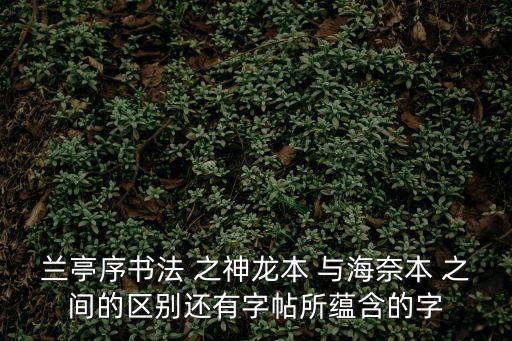 蘭亭序書法 之神龍本 與海奈本 之間的區別還有字帖所蘊含的字