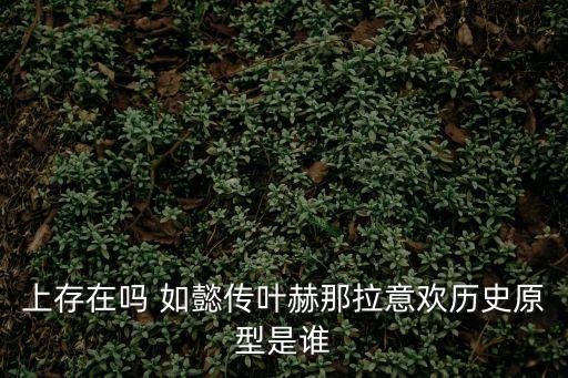 葉赫那拉意歡，石敏有了解的嗎如懿傳中石敏飾演的荷惜是什么角色啊