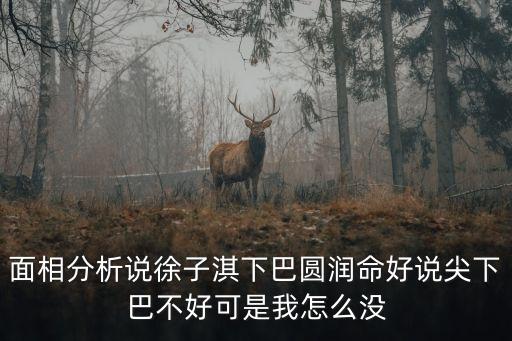 面相分析說徐子淇下巴圓潤命好說尖下巴不好可是我怎么沒