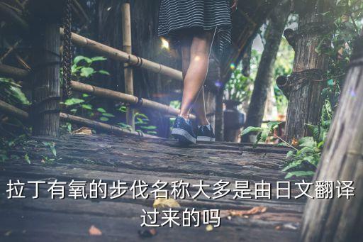 有氧拉丁，拉丁和有氧拉丁得區別是