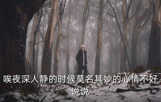 唉夜深人靜的時候莫名其妙的心情不好說說