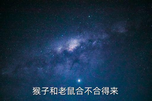 猴跟鼠合不合，屬鼠的和屬猴的配不配