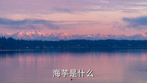 海芋，海芋是什么