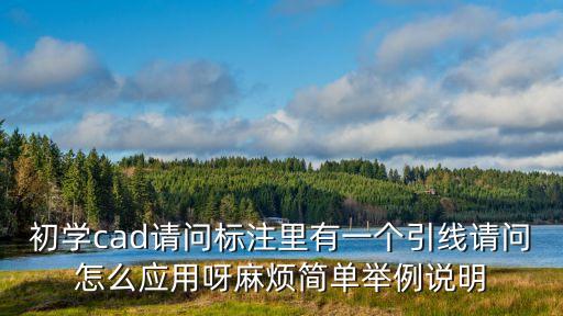 初學cad請問標注里有一個引線請問怎么應用呀麻煩簡單舉例說明