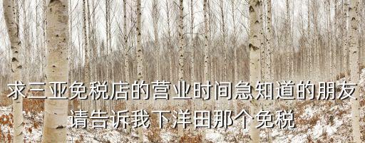 求三亞免稅店的營業(yè)時(shí)間急知道的朋友請告訴我下洋田那個(gè)免稅