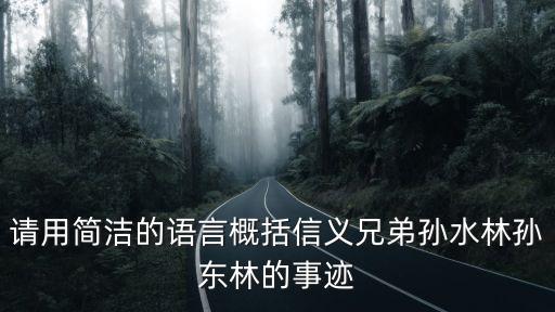 請用簡潔的語言概括信義兄弟孫水林孫東林的事跡