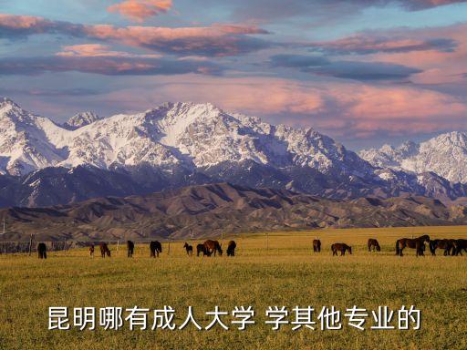 昆明哪有成人大學(xué) 學(xué)其他專業(yè)的