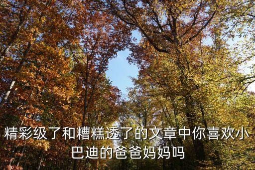 精彩級(jí)了和糟糕透了的文章中你喜歡小巴迪的爸爸媽媽嗎